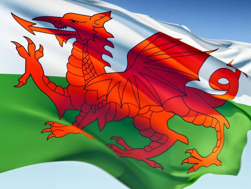 Drapeau Blanc Et Vert Avec Un Dragon Rouge