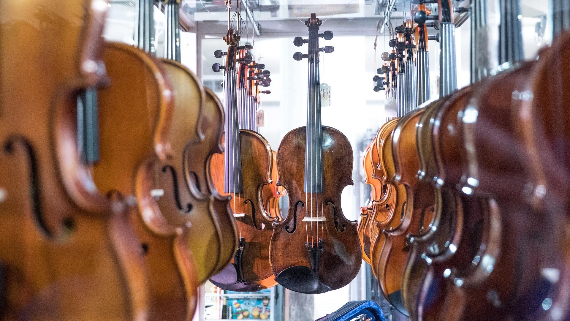 Combien Coûte le Matériel de Violon ? Superprof