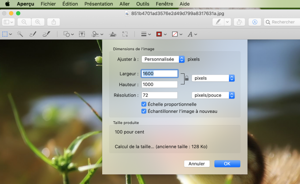 Comment Modifier la Taille et le Poids de sa Photo