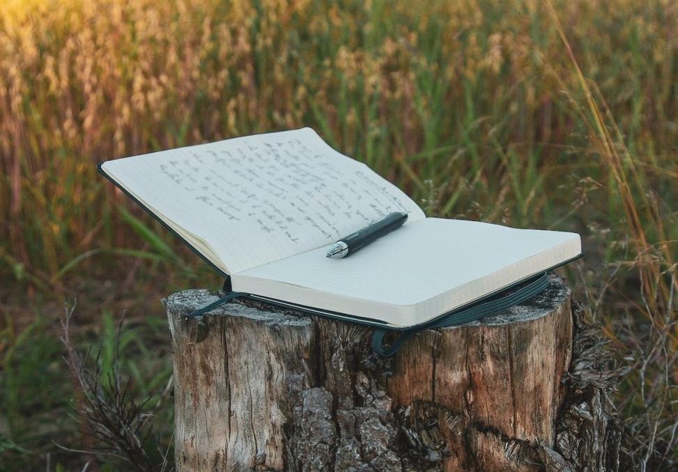 Comment Apprendre à Slamer ? Superprof