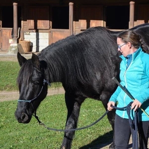 Julie - Sortie d'école & baby-sitting - Foix