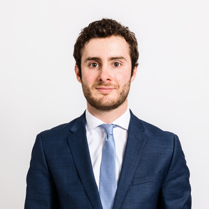 Luc - Prof de droit constitutionnel - Paris