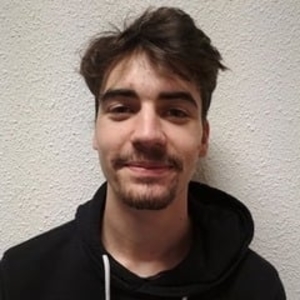Louis - Prof de maths - Rennes