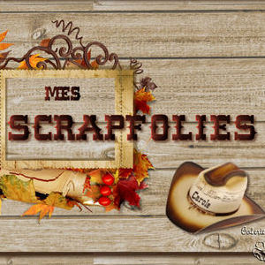 CAROLE - Prof de scrapbooking - Chécy