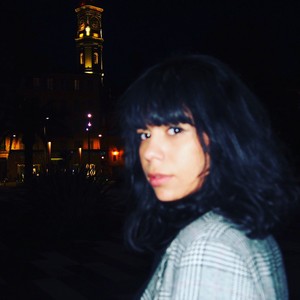 Lina - Prof de fle - français langue étrangère - Montauban