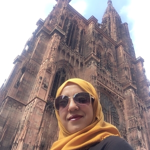 AMENA - Prof d'histoire de l'art - Strasbourg