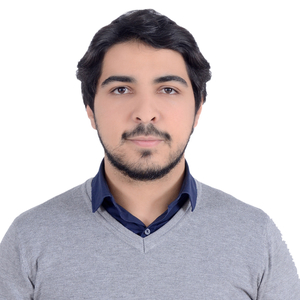 ANAS - Prof d'architecture - Paris