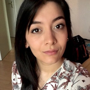 Lise - Prof de maths - Villebon-sur-Yvette