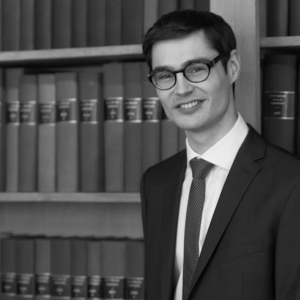 Laurent - Prof de droit constitutionnel - Paris