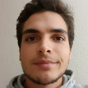 Romain - Prof de maths - Toulouse