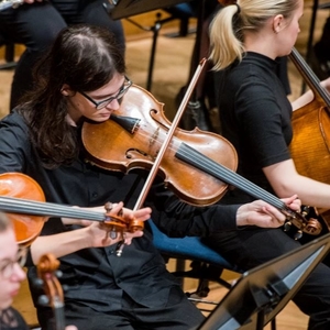 Sam - Prof de violon - Forest