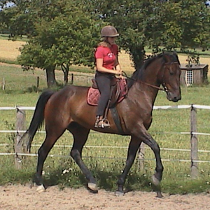 Liz - Prof d'équitation - Savenay