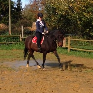 Hortense - Prof d'équitation - Laillé