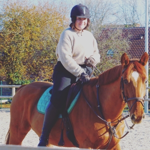 Valentine - Prof d'équitation - Houdain