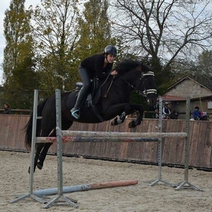 Charlotte - Prof d'équitation - Ancerville