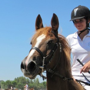 Harmony - Prof d'équitation - Olivet