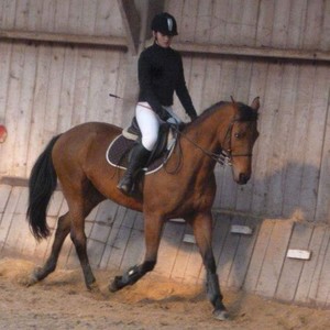Amandine - Prof d'équitation - Biéville-Beuville