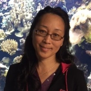 Hong - Prof de mandarin - Hérouville-Saint-Clair