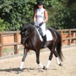 Céline - Prof d'équitation - Andilly