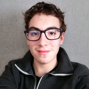 Hugo - Prof de maths - Ham-sur-Heure-Nalinnes