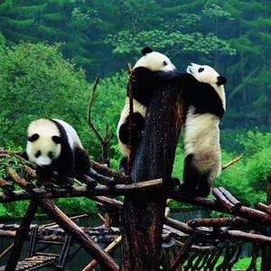 Yingying - Prof de chinois - Aubervilliers