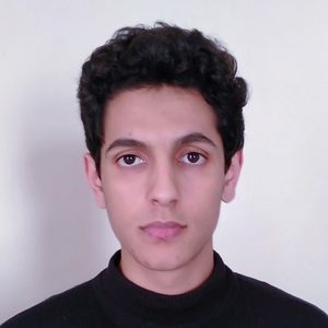Achraf - Prof d'initiation informatique - Lourdes