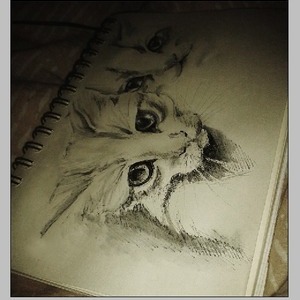 Audrey - Prof de dessin - Paris