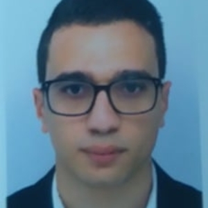 Mohamed Amine - Prof de maths - Valbonne (Sophia antipolis)