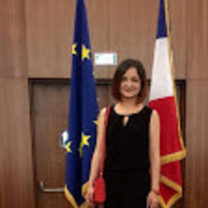 Berina - Prof de droit constitutionnel - Montbeton
