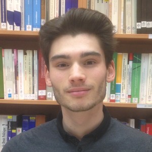 David - Prof de droit constitutionnel - Paris