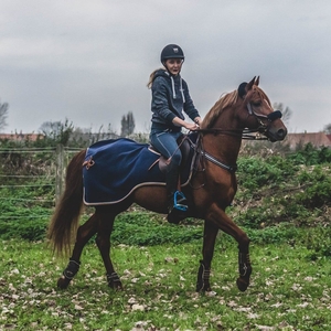 Aurelie - Prof d'équitation - Warhem