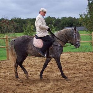 Stephane - Prof d'équitation - Carbon-Blanc