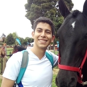 Nicolas David - Prof de fle - français langue étrangère - Bogotá