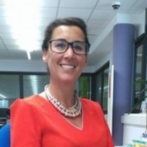 Abeille - Prof de français - Annecy