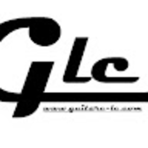 Guitare LC - Prof de guitare - Vred