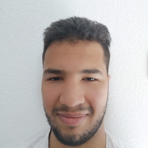 Oussama - Prof de maths - Toulouse