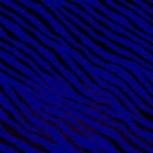 Afef - Prof de maths - Sannois