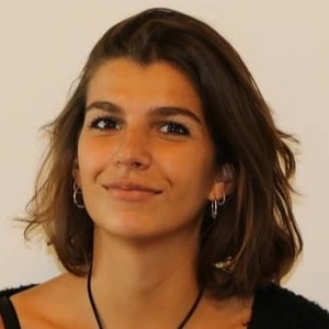 Emilie - Prof de maths - Tresses