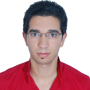 Marouane - Prof de maths - Toulouse