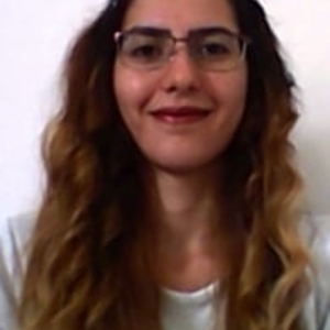 Fahimeh - Prof de programmation - Paris