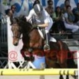 Magali - Prof d'équitation - Mont-de-Marsan