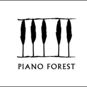 Stéphane - Prof de piano - Nantes