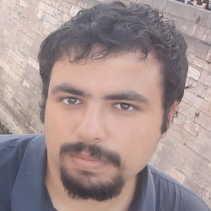 Hocine Anis - Prof de programmation - Paris