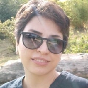 Chnoor - Prof de persan - Brunoy