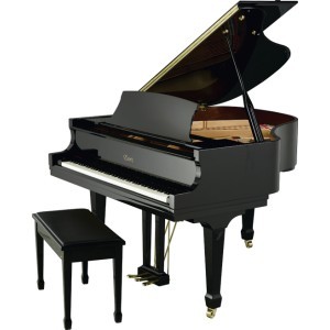 Ludwig - Prof de piano - Paris