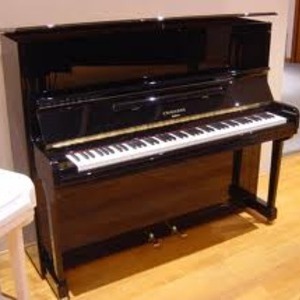 ERIC - Prof de piano - Champigny-sur-Marne