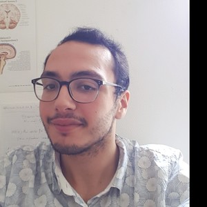 David - Prof de maths - Paris