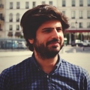Michel - Prof de droit constitutionnel - Paris