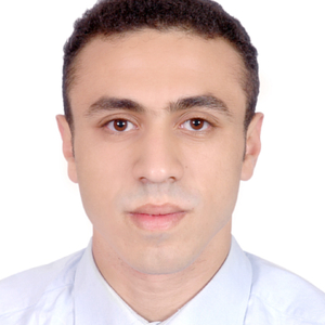 Zouhair - Prof de maths - Champs-sur-Marne