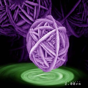 Zineb - Prof de physique - chimie - Montpellier